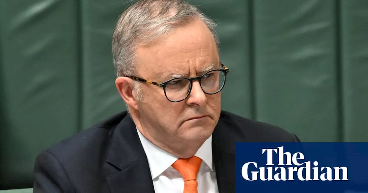 Greens and One Nation accuse Albanese of trying to ‘ram’ social media ban through parliament