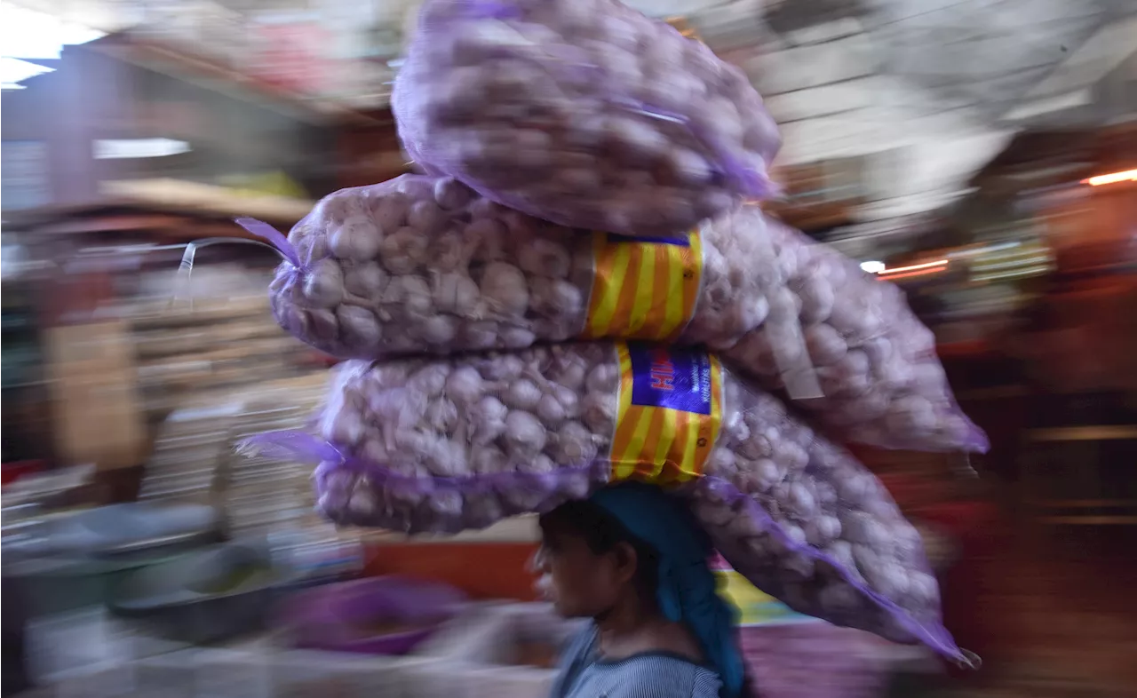 Kemendag Diminta Jinakkan Harga Bawang Putih dan Minyakita