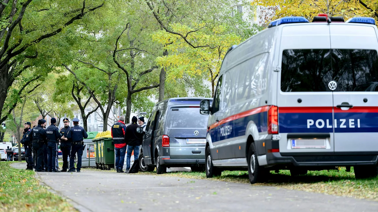 Kleine Melek wurde erschlagen - Ehrenmord-Verdacht im Fall um totes Baby in Wien