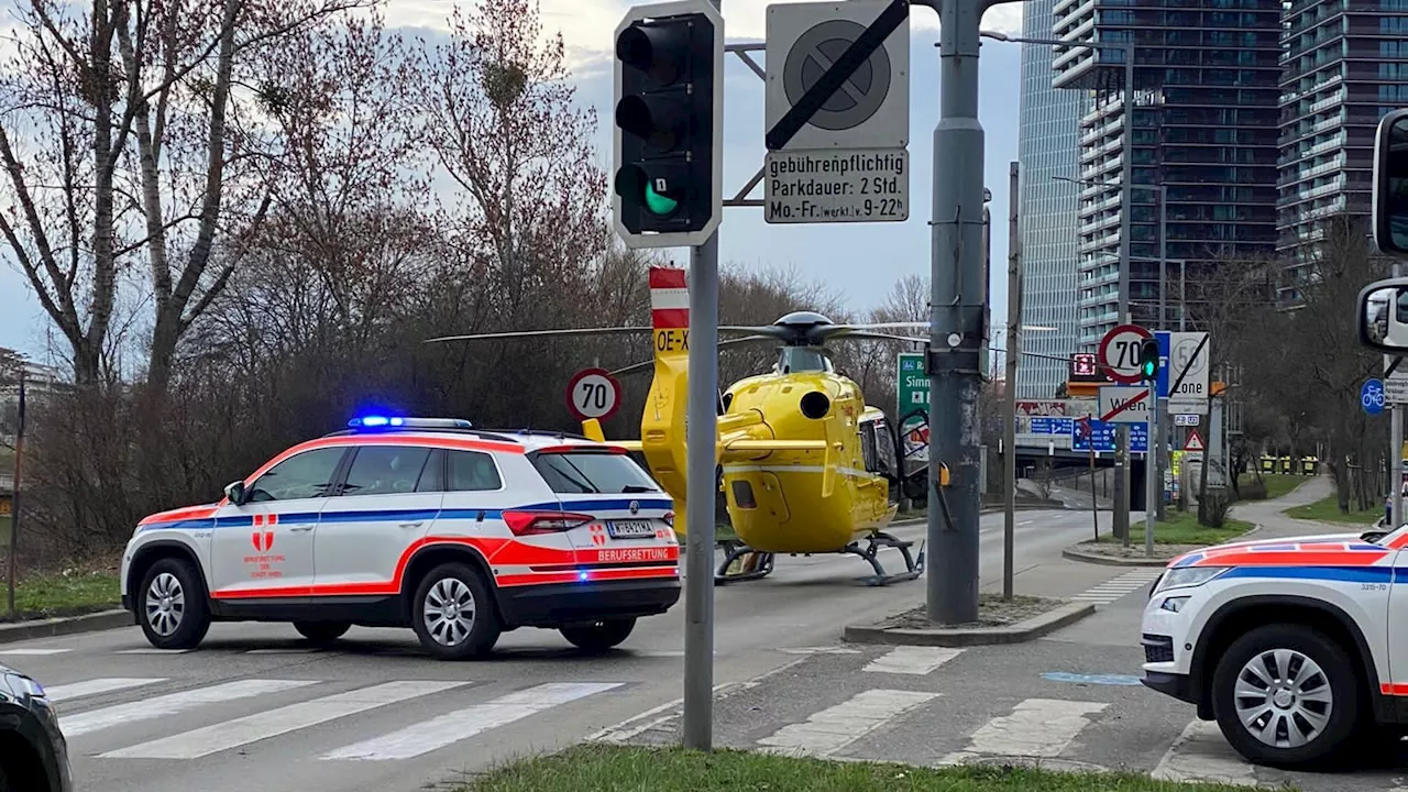 Schrecklicher Arbeitsunfall - Lehrling (16) fällt Baum – dann ist sein Kollege tot