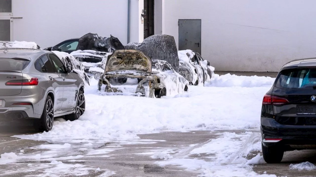  Sechs BMWs brennen in Wiener Autohaus komplett aus