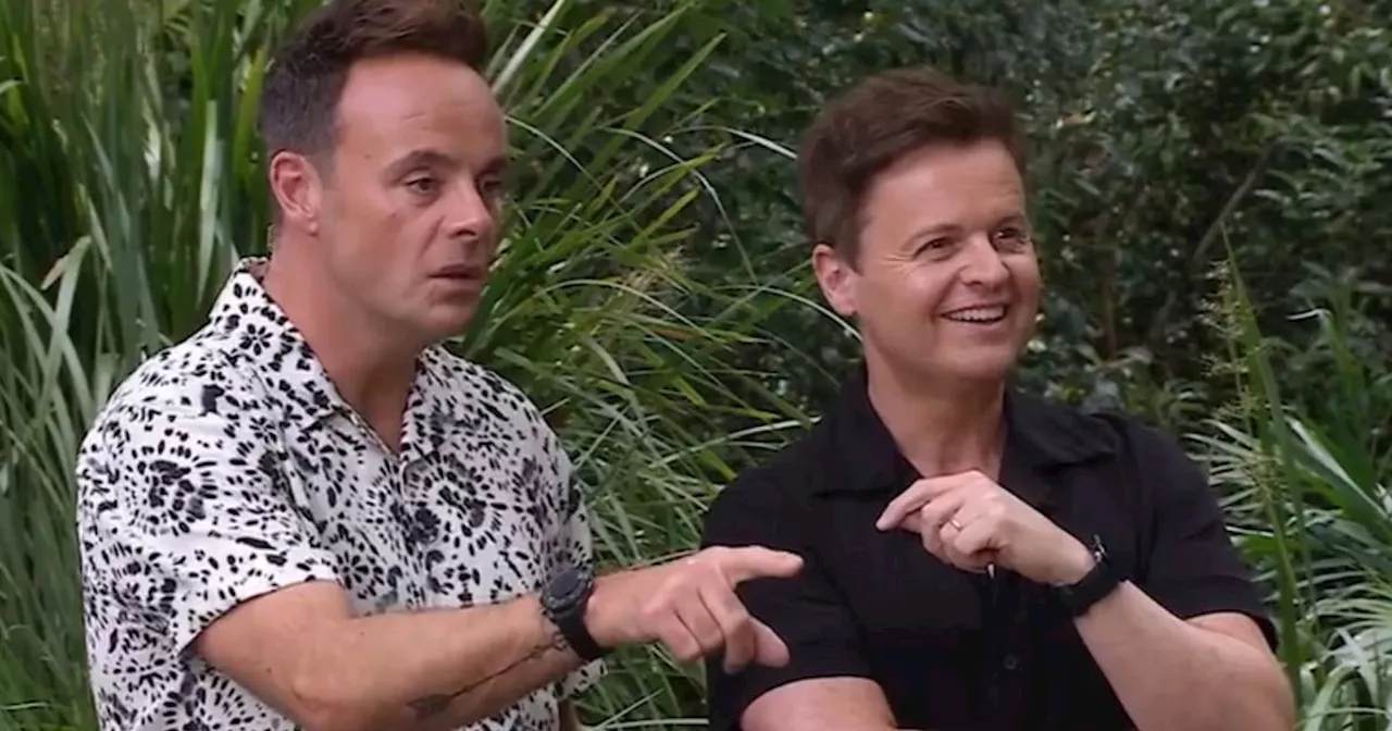 I'm A Celebrity fans spot 'tension' in scene as they suspect Ant 'dislikes' star