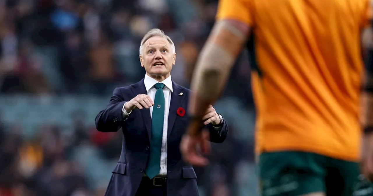 Ireland host Joe Schmidt's Australia next Saturday