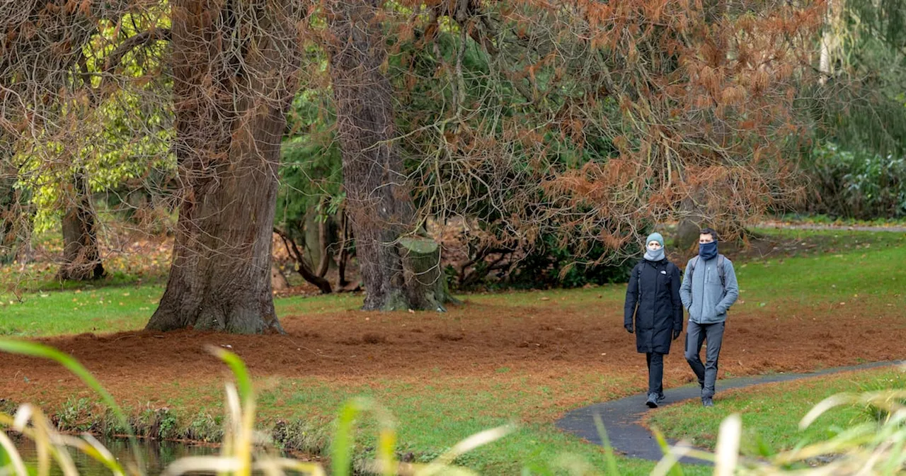 Ireland weather: Storm Bert clean-up continues as more moderate wind and rain forecast