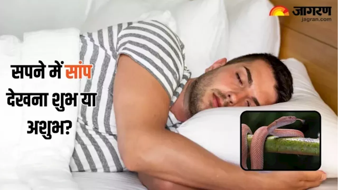 Dream Astrology: सपने में सांप देखने से मिलते हैं ये संकेत, जीवन में हो सकता है बड़ा बदलाव