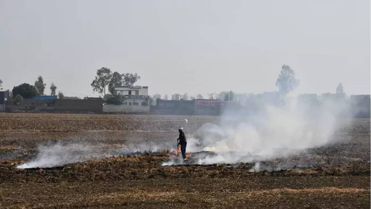 Haryana AQI: खराब श्रेणी में हरियाणा के 12 शहरों की हवा, फरीदाबाद की सबसे खराब; इन जिलों में बंद रहेंगे स्कूल