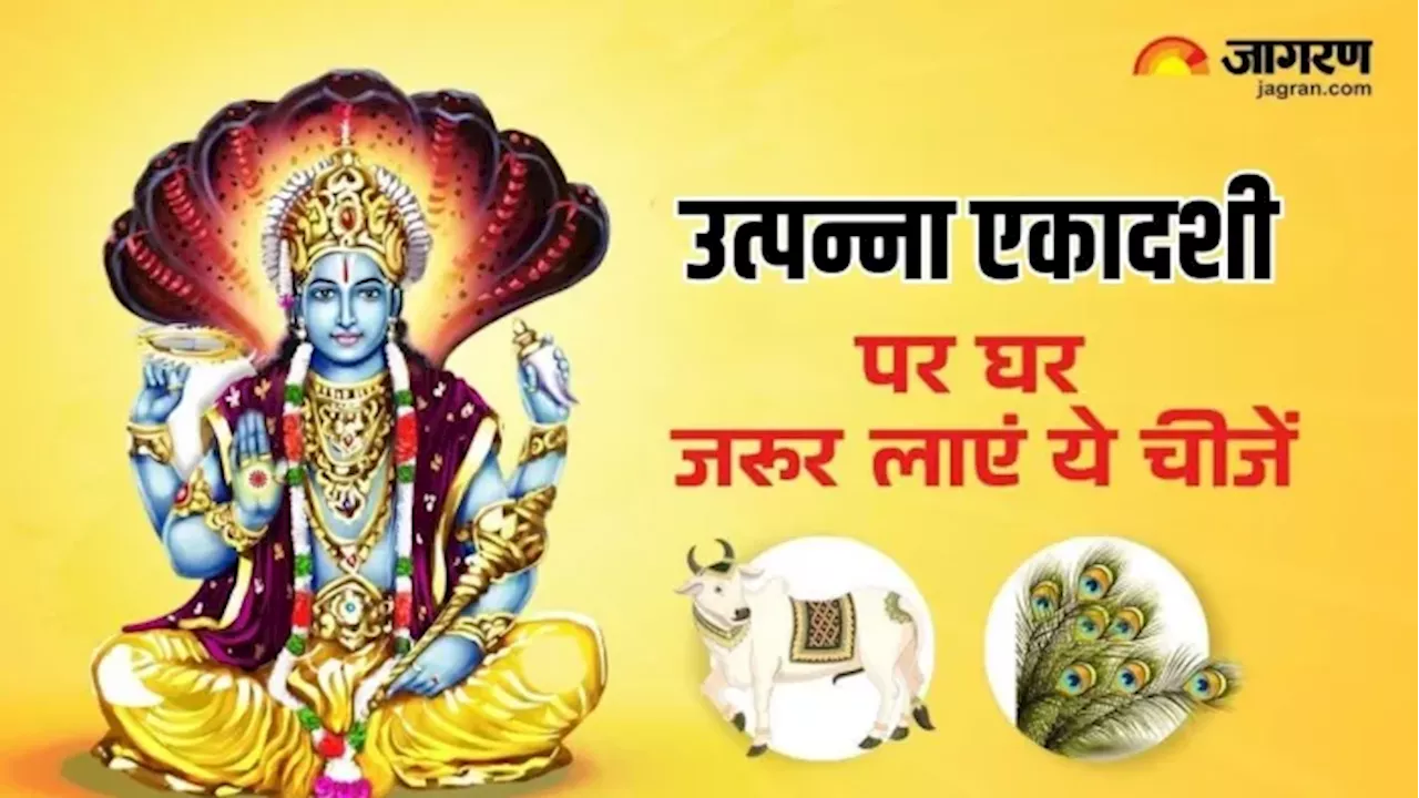 Utpanna Ekadashi 2024: उत्पन्ना एकादशी पर घर ले आएं ये 4 चीजें, धन से भर जाएगी खाली तिजोरी