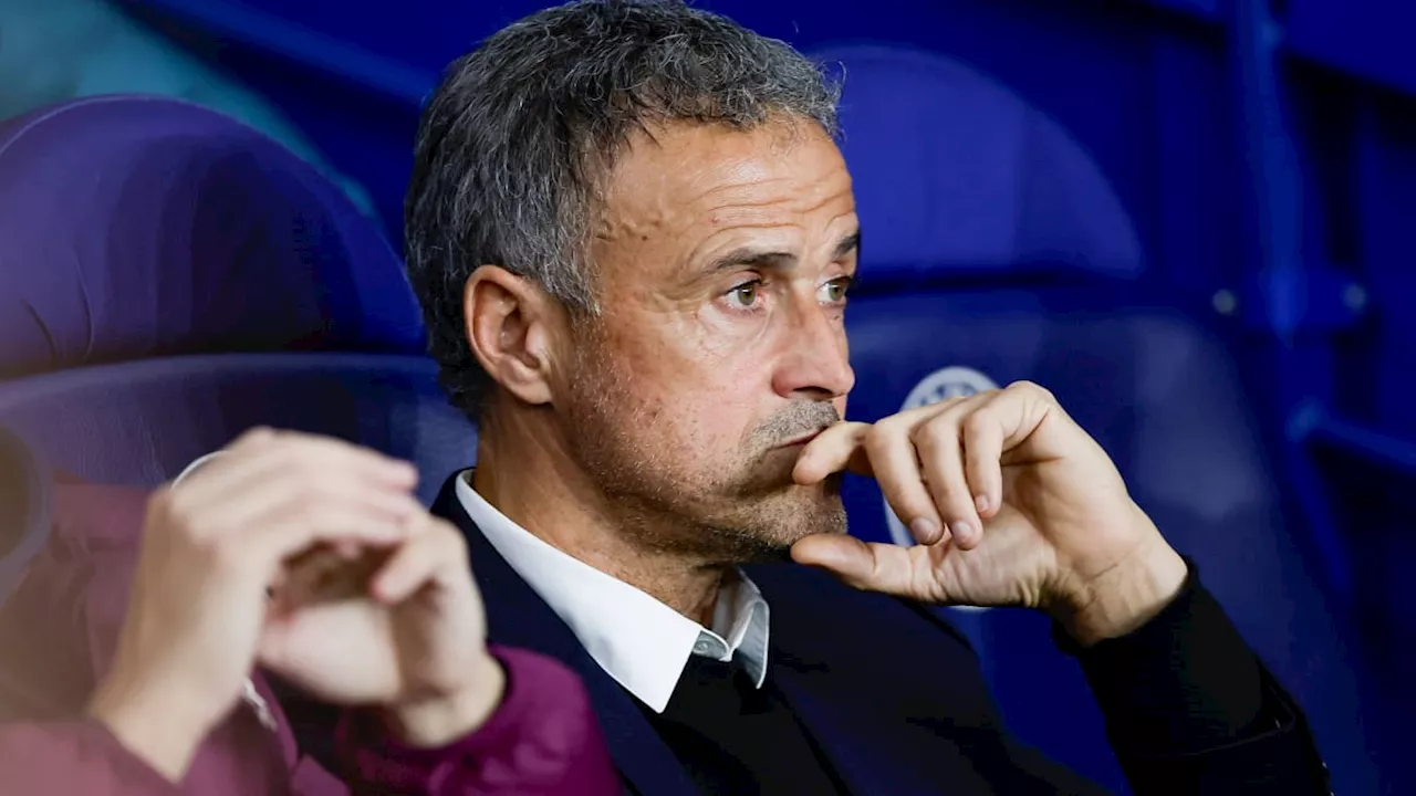 Luis Enrique: 'Sind Bayern München sehr ähnlich'