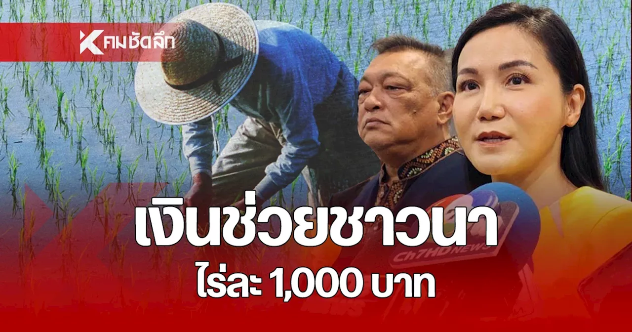 ครม. ช่วยชาวนาไร่ละ 1,000 บาท วงเงิน 38,000 ล้าน