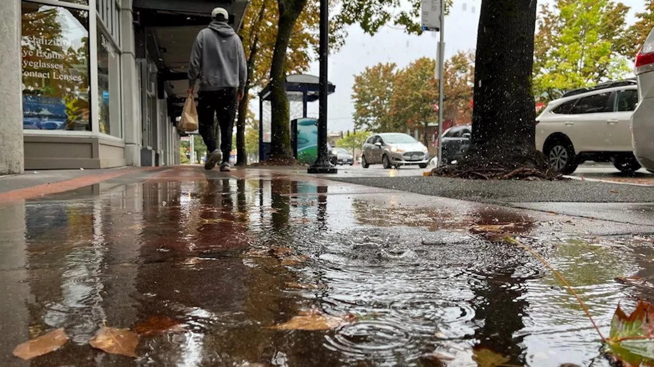 November rain exceeds expectation in Washington during La Nina