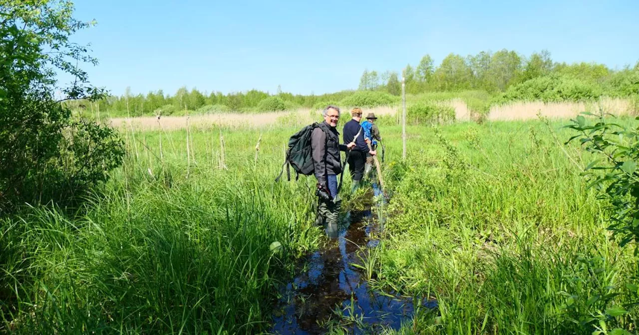 Der letzte unregulierte Fluss Europas: Moorwandern in Polen