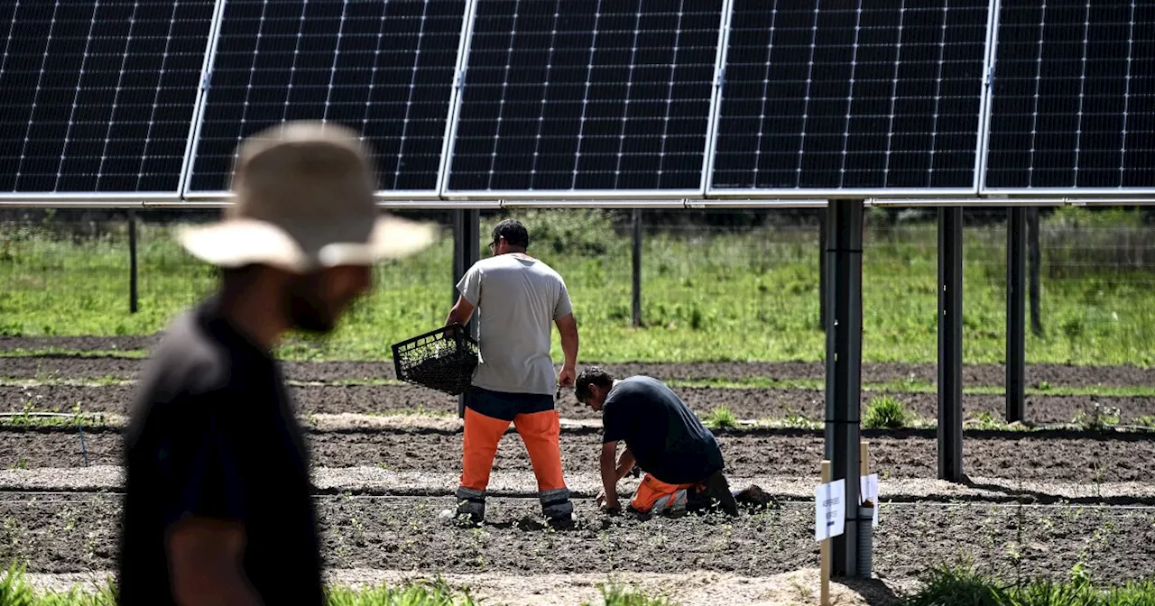 Solar on farms