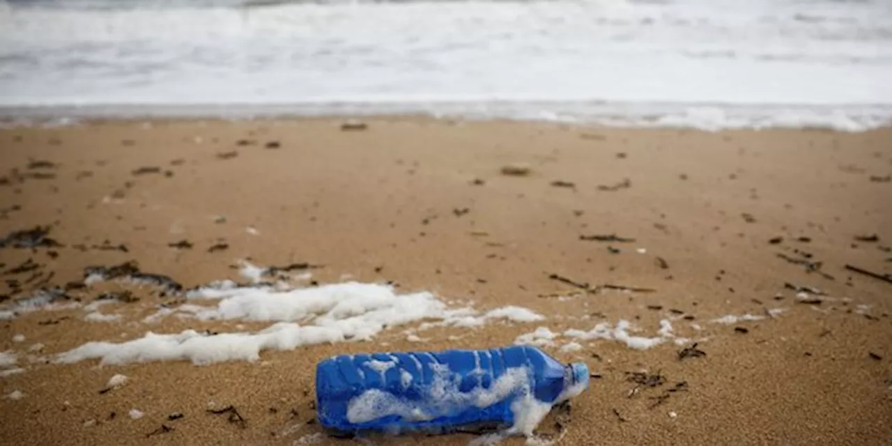 Cinquième cycle de négociations sur un traité mondial contre la pollution plastique s'ouvre à Busan