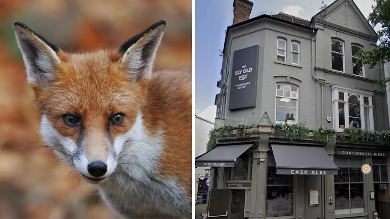 Animal rights activists target beloved Birmingham pub over 'derogatory' name