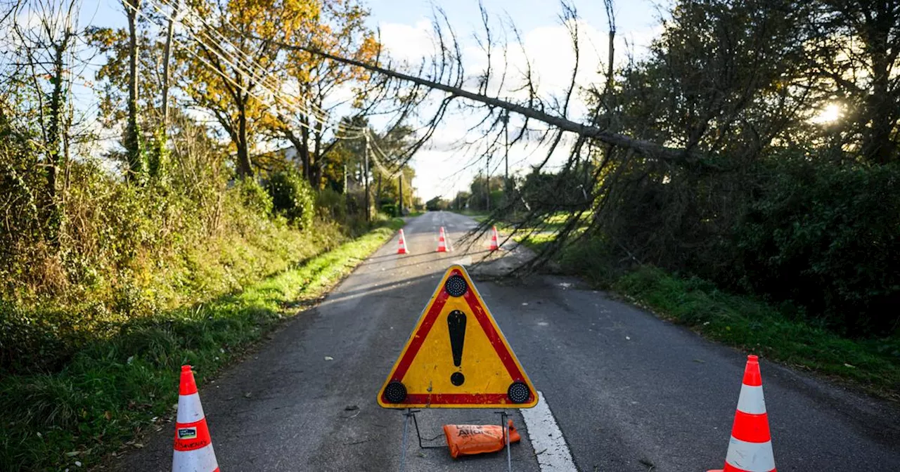 Tempête Caetano : une des victimes de l'accident routier dans le Val-de-Marne est morte