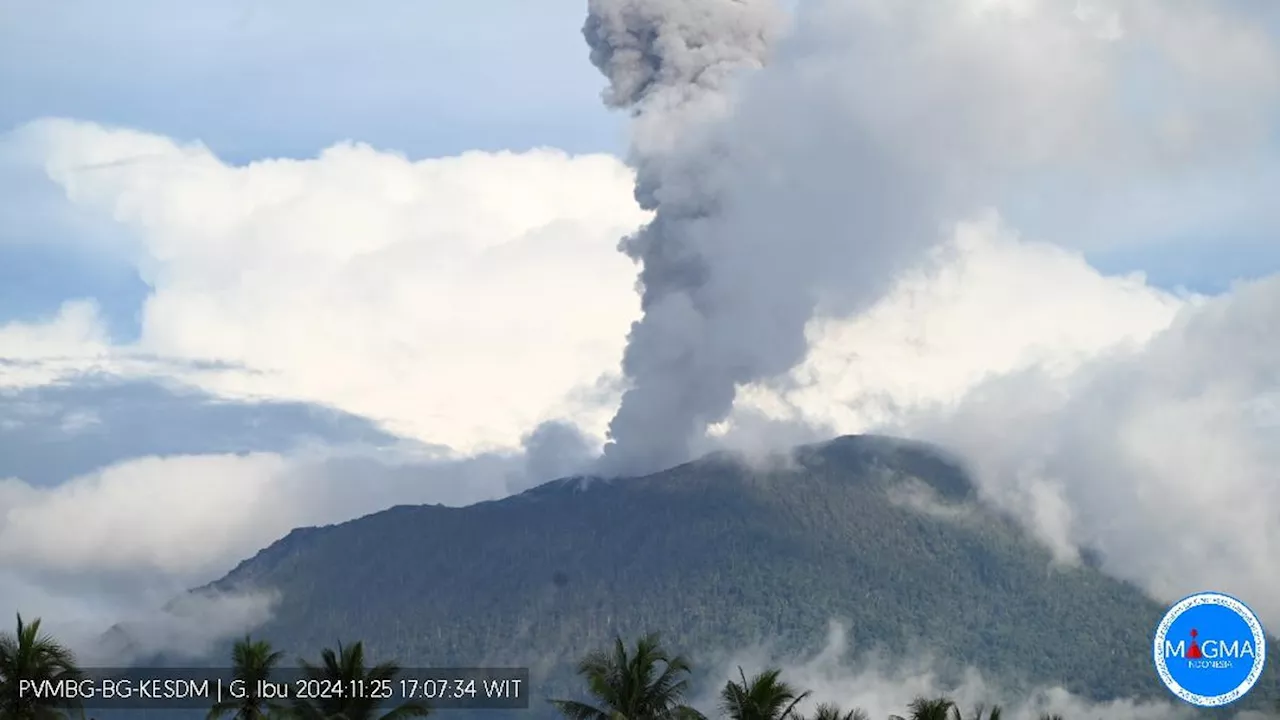 Gunung Ibu Erupsi Senin Sore 25 November 2024, Kolom Abu Capai 1.200 Meter