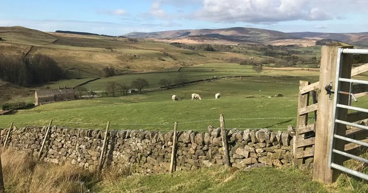 Plans lodged for new park-and-ride site for Haweswater Aqueduct workers