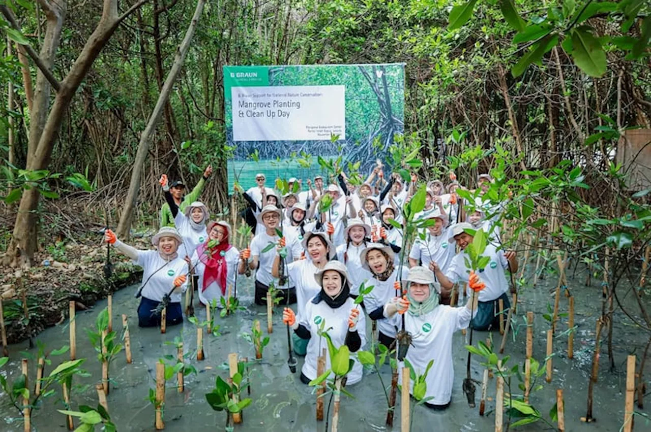 Berkolaborasi Tanam Mangrove untuk Masa Depan Lebih Hijau