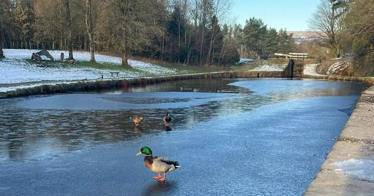 Embrace the Chill: Why a Winter Walk in Greater Manchester is the Perfect Remedy