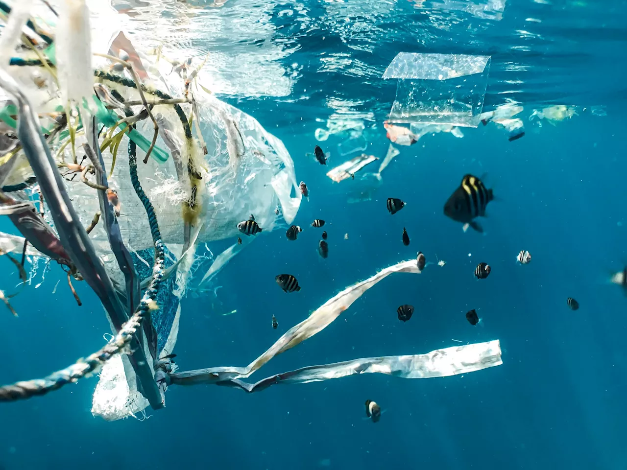 Plastic pollution treaty talks begin