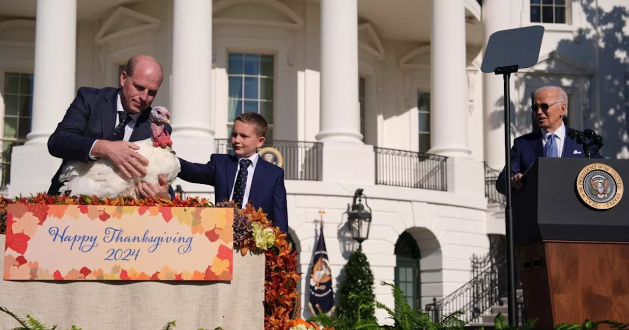 Biden pardons Thanksgiving turkeys at the White House