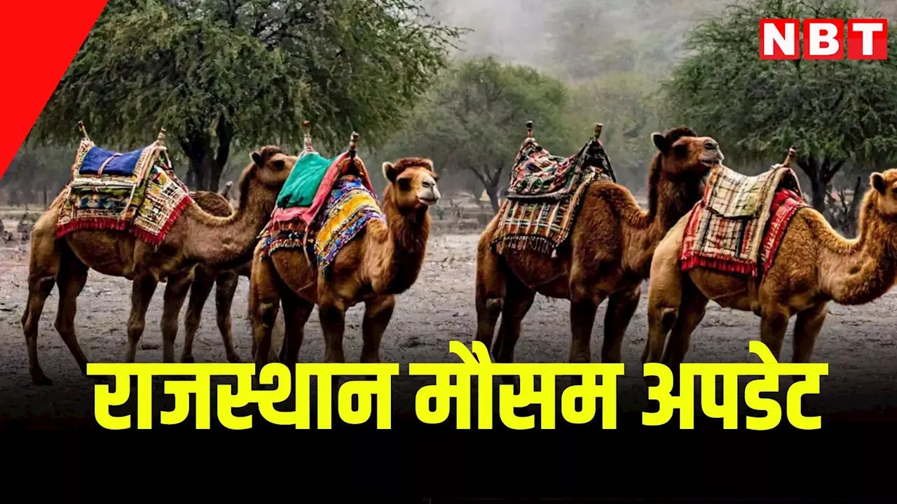 Rajasthan Weather Update: राजस्थान के तापमान में उतार चढ़ाव, पढ़ें कब से चलेगी शीतलहर