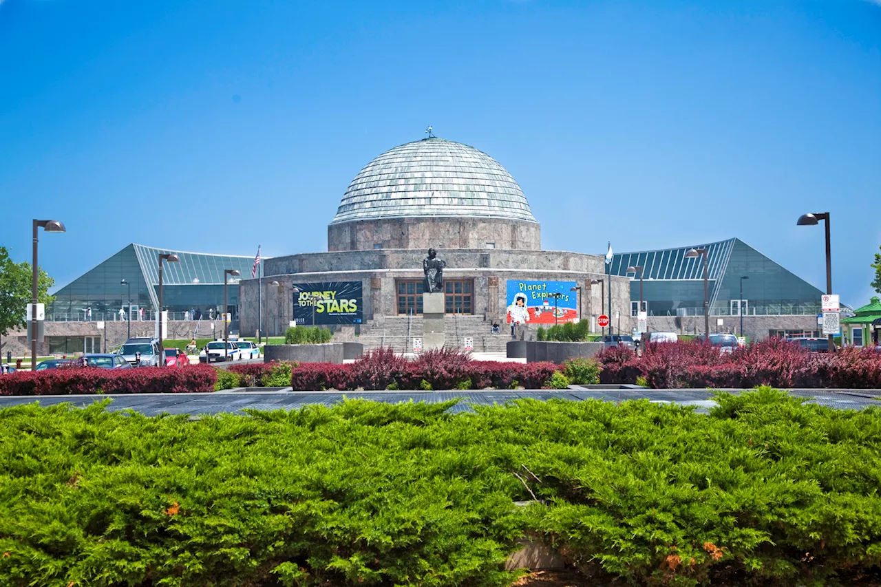 Chicago museum free days during Thanksgiving week: Full list