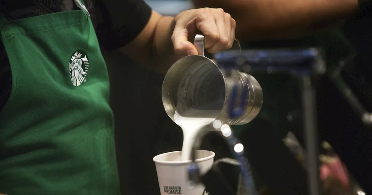 Starbucks baristas can't view their schedules after ransomware attack on vendor