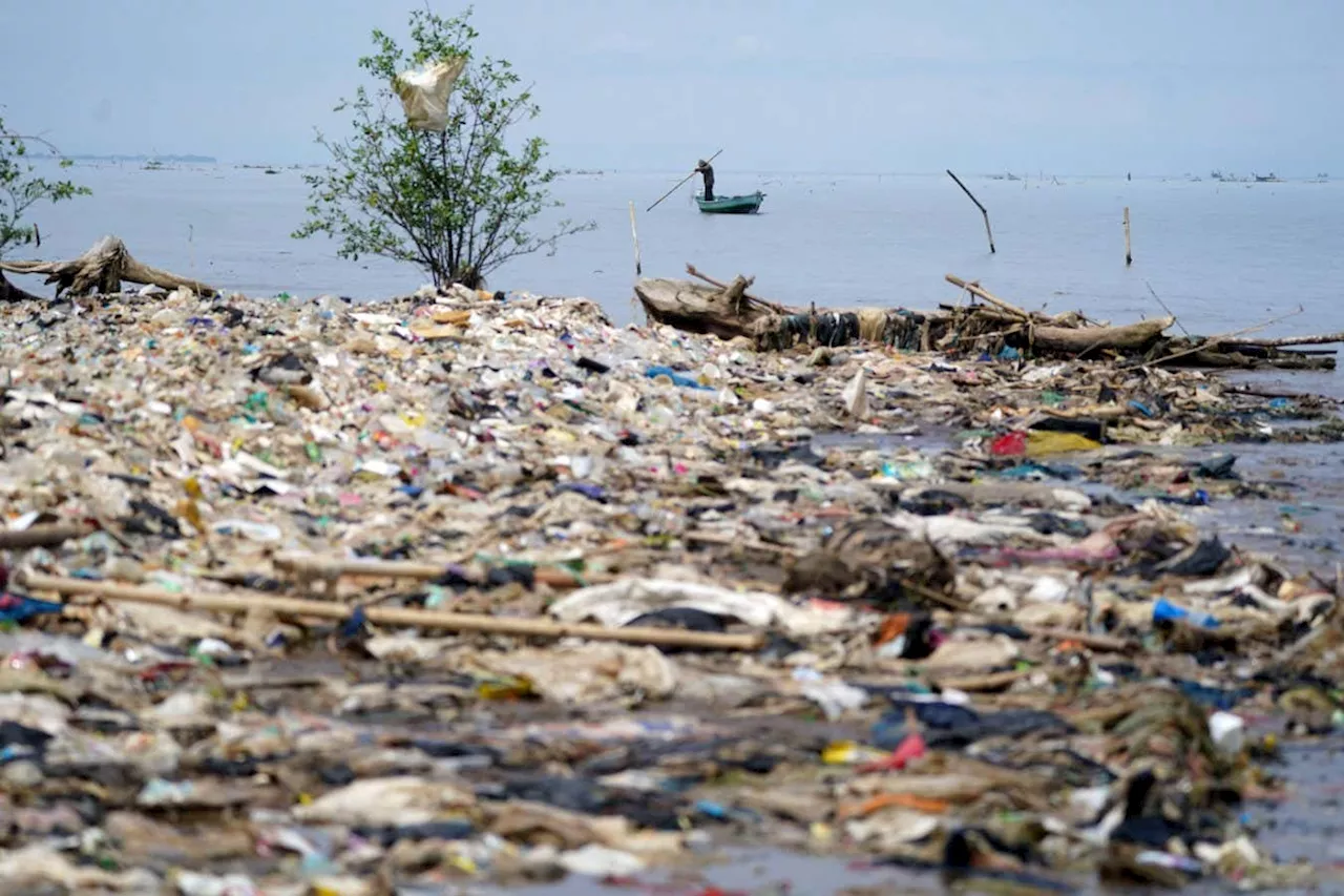 What will it take to solve our planet's plastic pollution crisis?