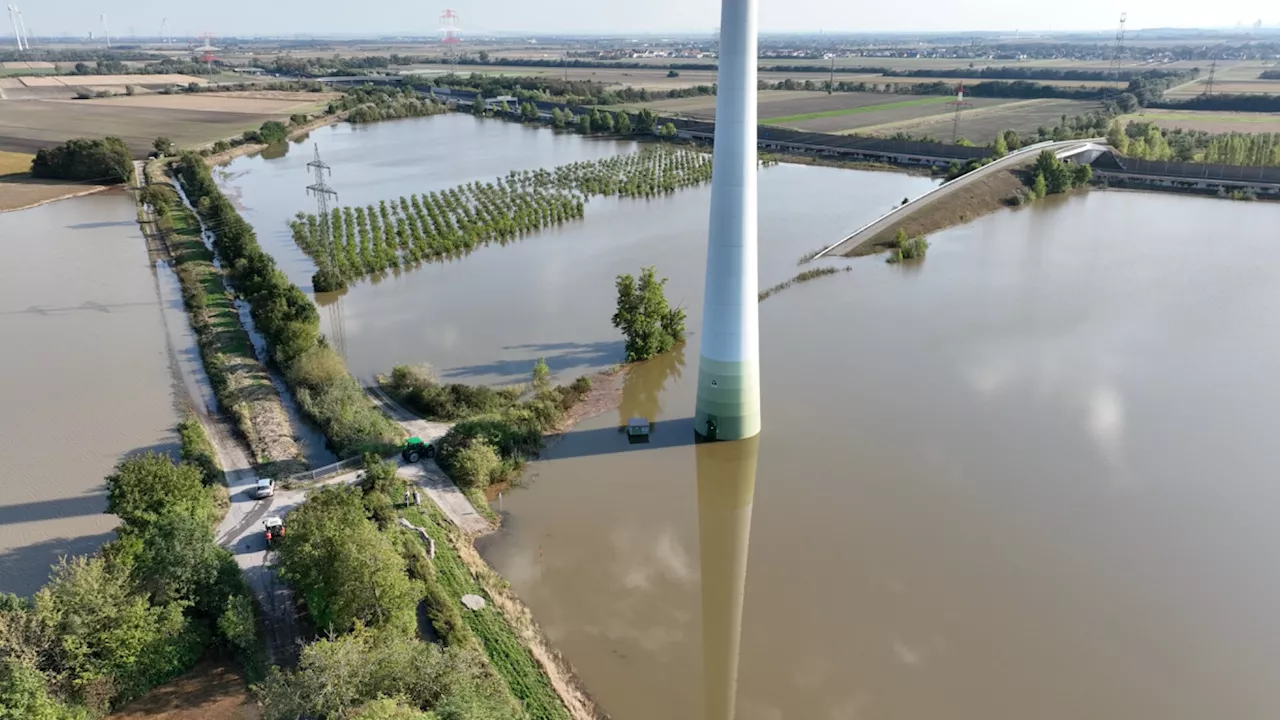 Hochwasserbilanz: Windrad überschwemmt, Bienen soffen ab