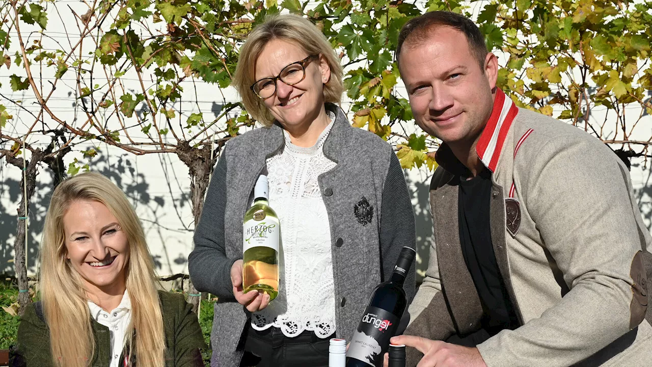 Weingut Dungel und Herzog unter den Top-Winzern