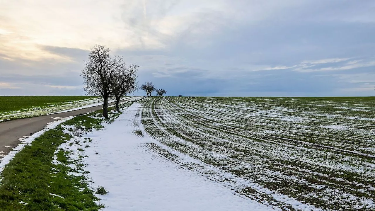 Baden-Württemberg: Sehr milde Temperaturen und Wind erwartet