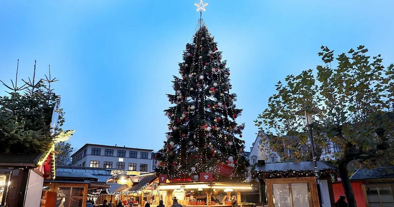 Herforder Weihnachtsmarkt 2024: Die schönsten Highlights und alle Öffnungszeiten