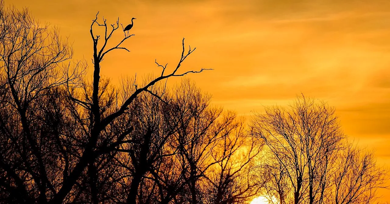 Ungewöhnlich mildes Novemberwetter zum Wochenbeginn