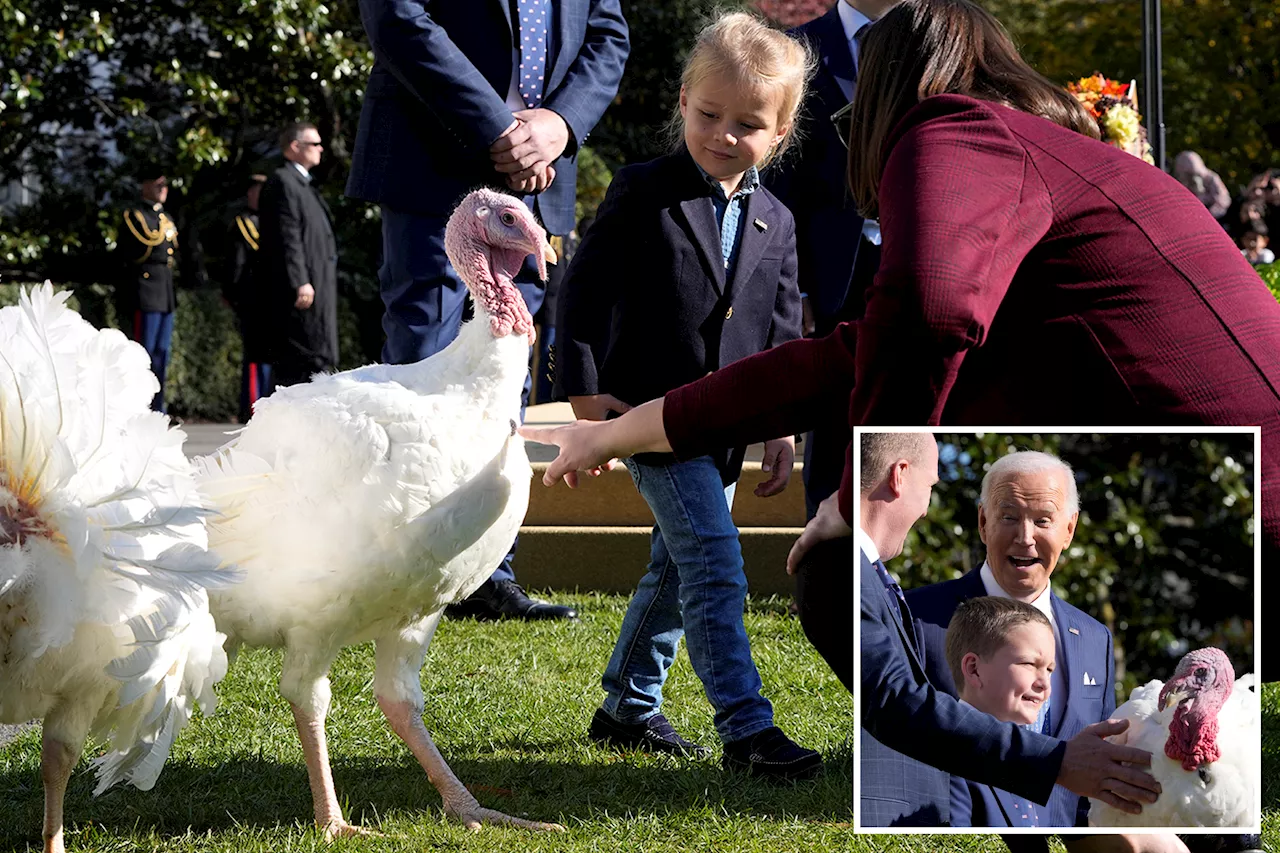 Biden pardons turkeys — not named Hunter — at unusually somber White House Thanksgiving event