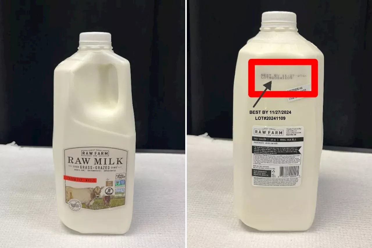 Bird flu virus detected in raw milk from dairy farm based in Fresno, Calif.