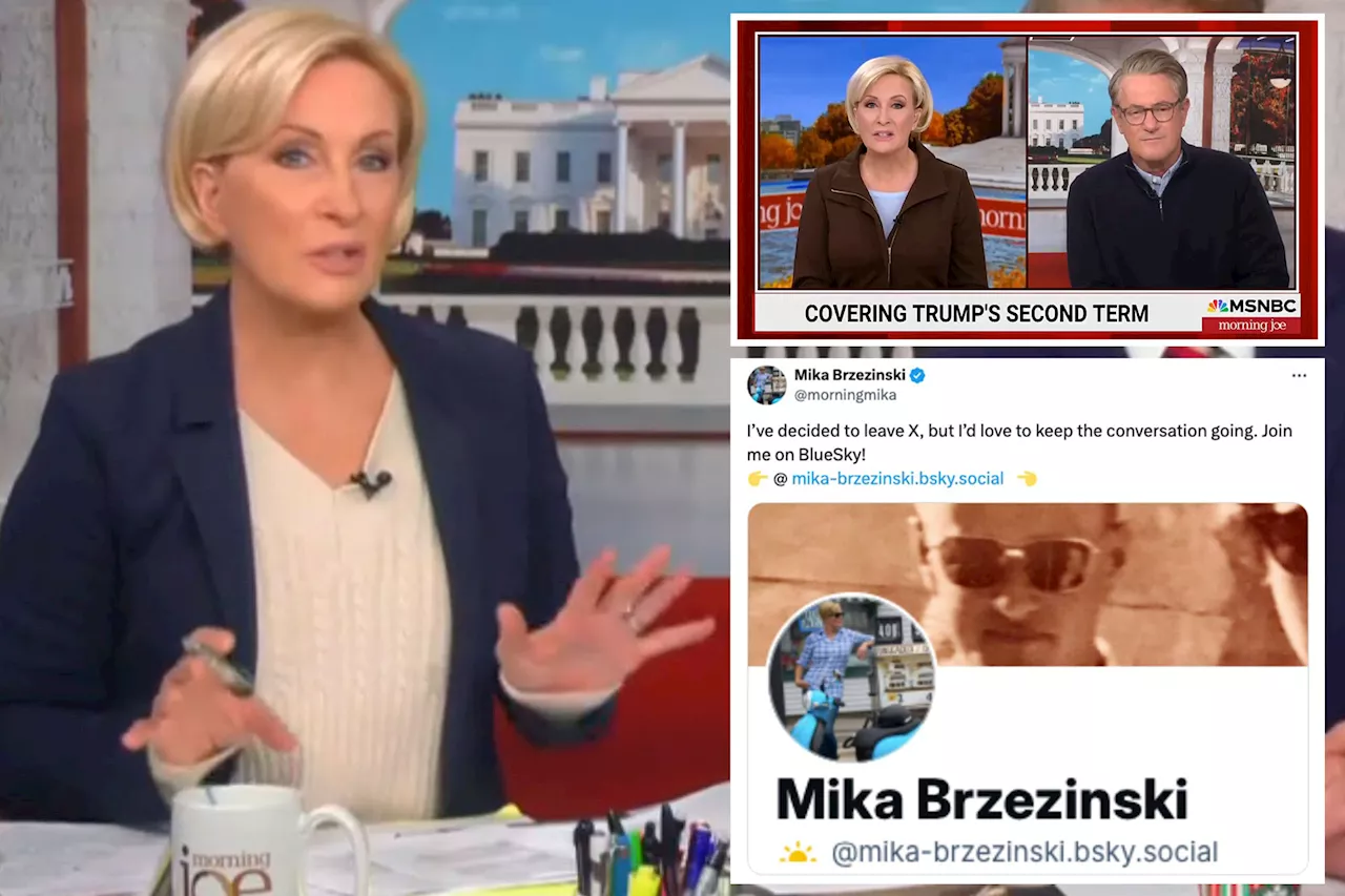 MSNBC 'Morning Joe' co-host Mika Brzezinski leaves X after meeting Trump with Joe Scarborough