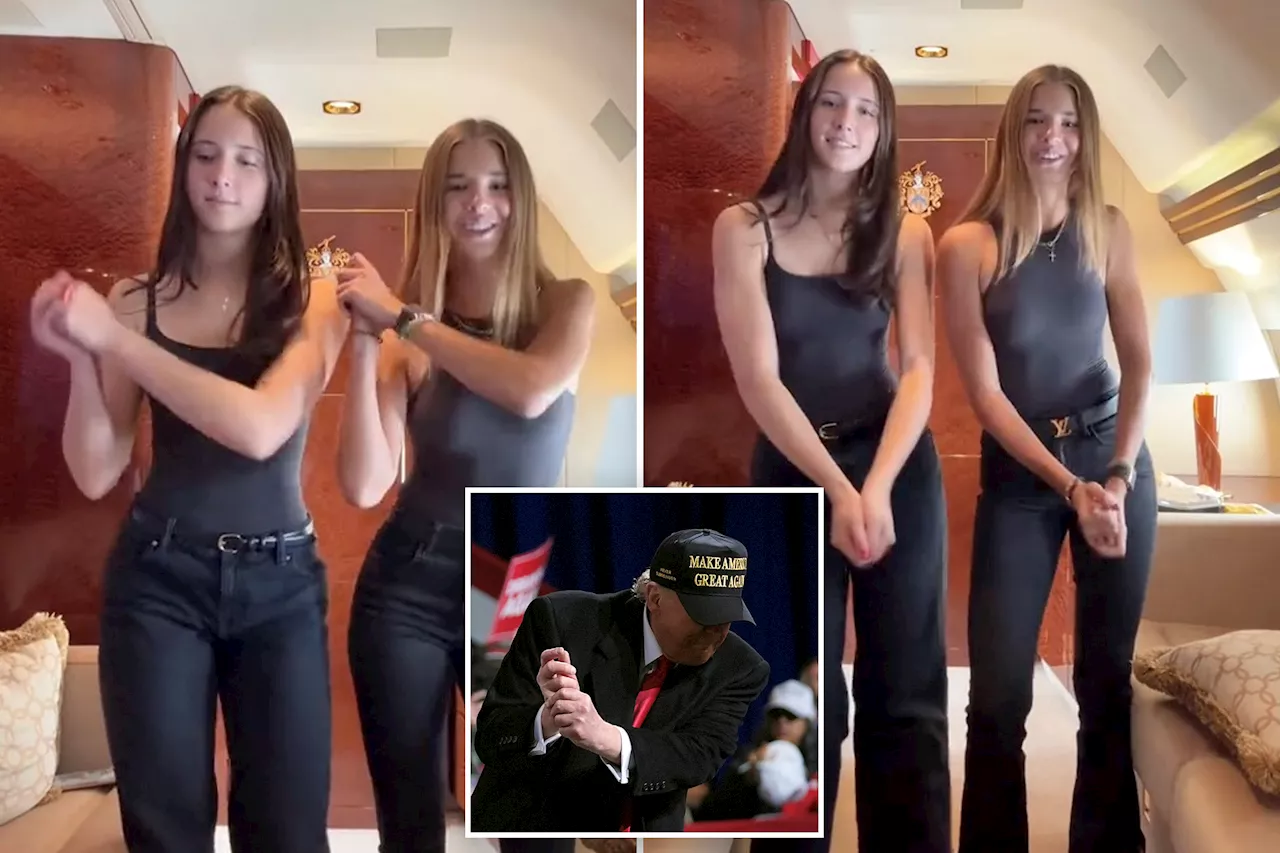 Trump's granddaughter Kai does his iconic YMCA dance on board private jet