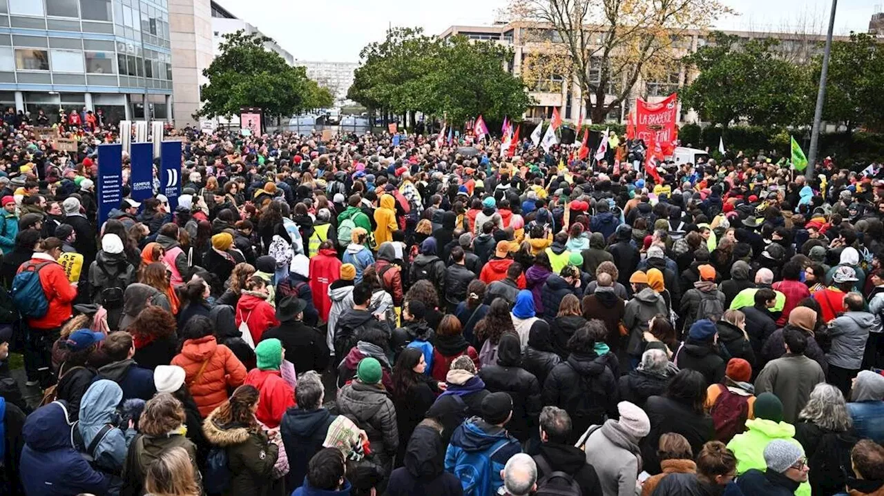 Coupes budgétaires : 3 000 professionnels de la culture manifestent à Nantes ce lundi