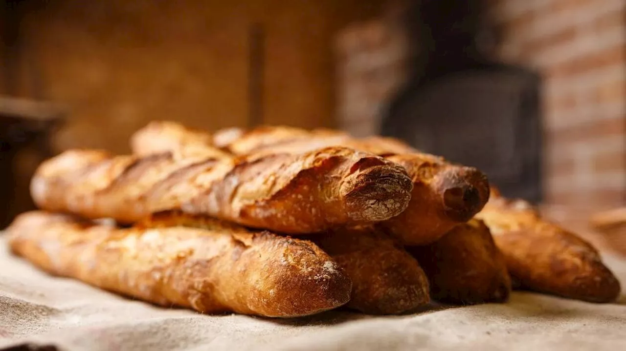 Deux boulangeries de Seine-Saint-Denis fermées par la préfecture pour des raisons d’hygiène