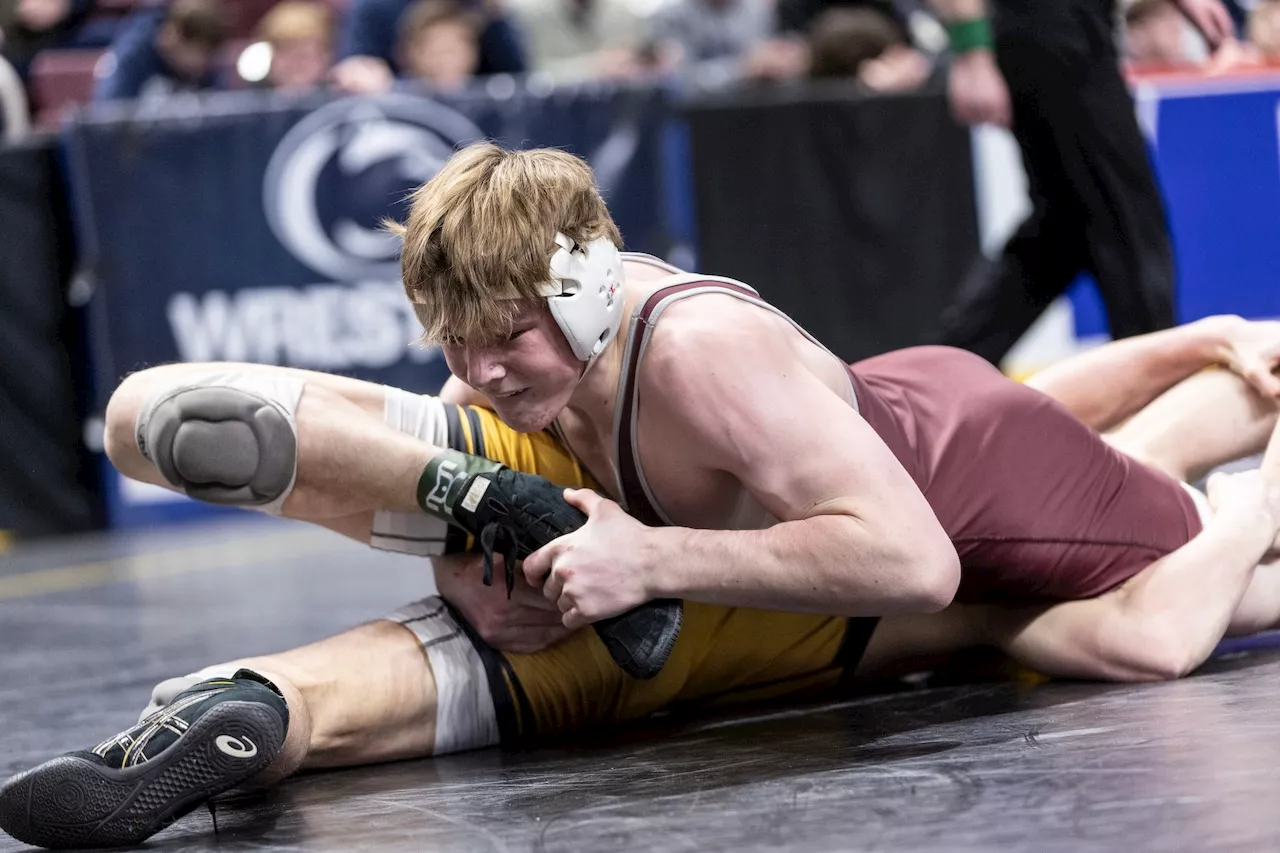 Meet PennLive’s 2024-25 Mid-Penn boys wrestling preseason All-Star team