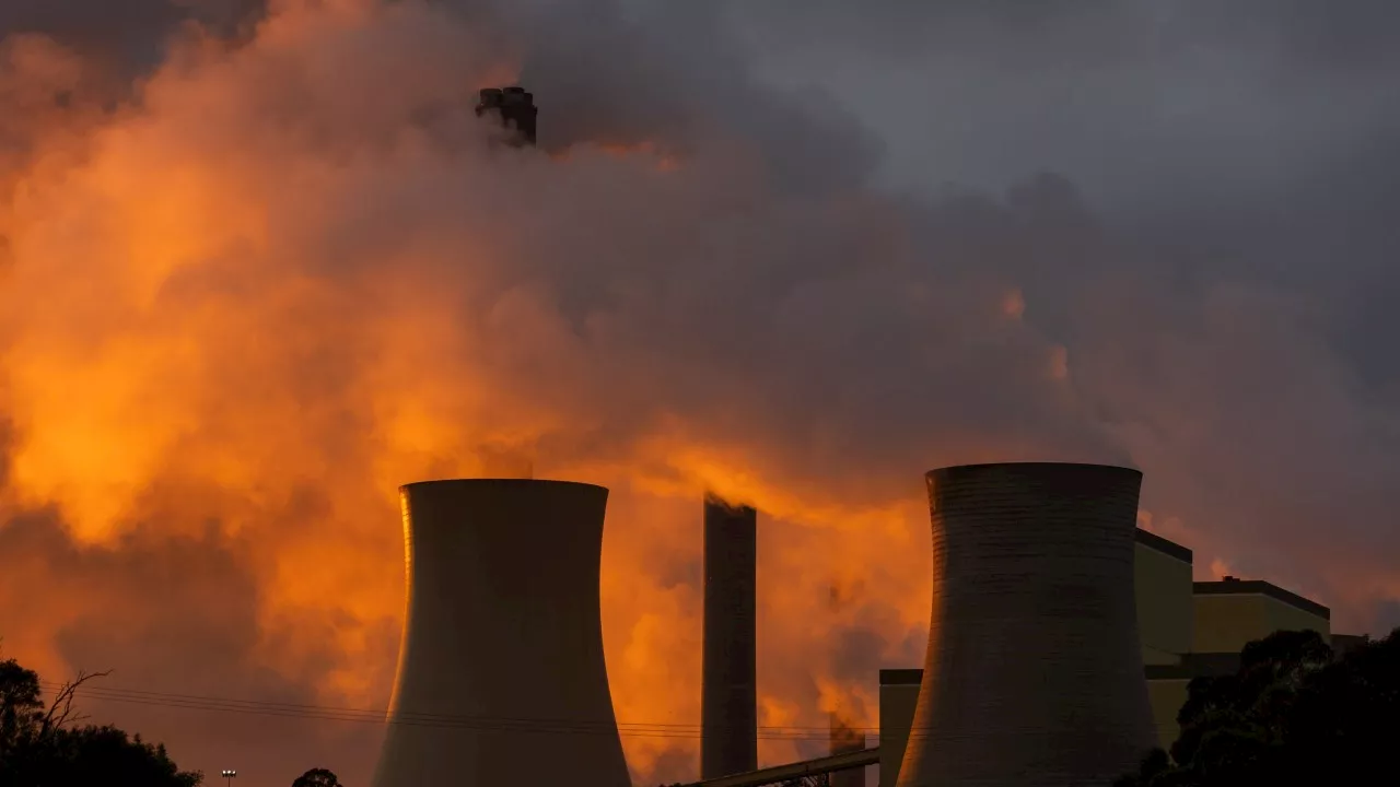 Blackout warning issued for NSW amid soaring temperatures and coal outages