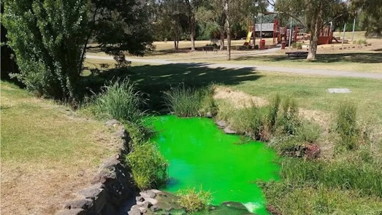 EPA investigation reveals pollutant that turned Melbourne creek bright green