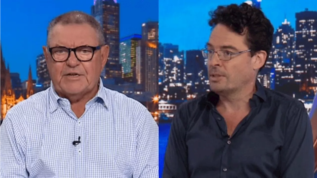 Steve Price and Joe Hildebrand Clash Over Anthony Albanese's Leadership