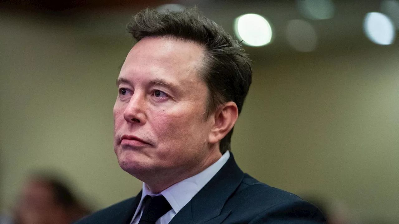 Elon Musk als Minister: Wird Weltpolitik Spielplatz der Oligarchen?