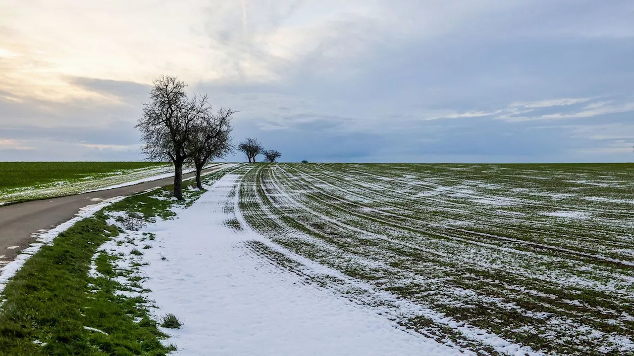 Wetter: Sehr milde Temperaturen und Wind erwartet