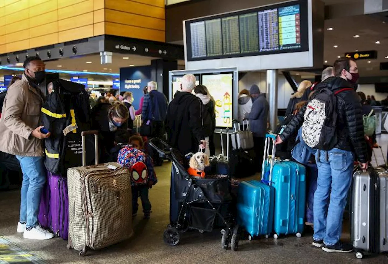 Barang Bawaan Penumpang yang Sering Bikin Curiga Petugas Keamanan Bandara