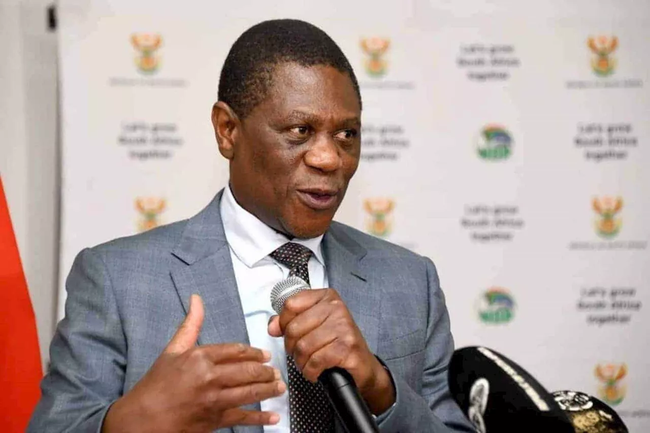 Mashatile lists ‘concrete actions’ in GBV fight at 16 Days of Activism launch