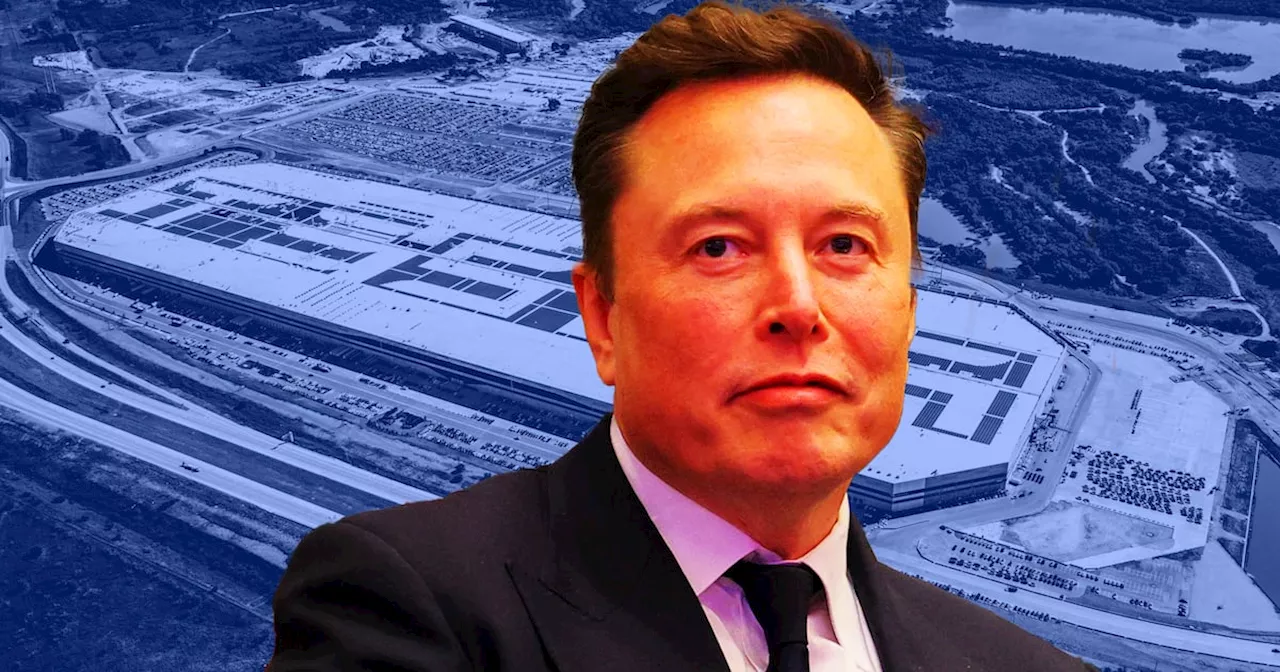 Insider: Tesla Is Breaking Tons of Rules Elon Musk May Slash Under Trump