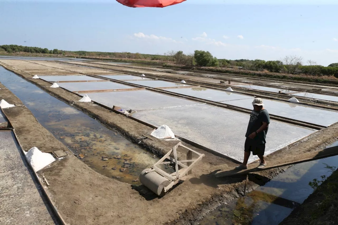 Pangasinan salt farm aims to hike production